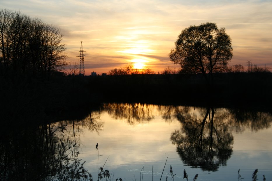 Ein Spiegelbild in der Geeste